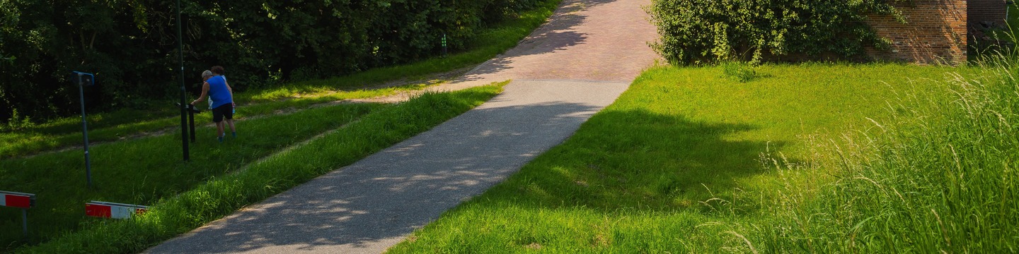 Groenstrook met weg ertussen